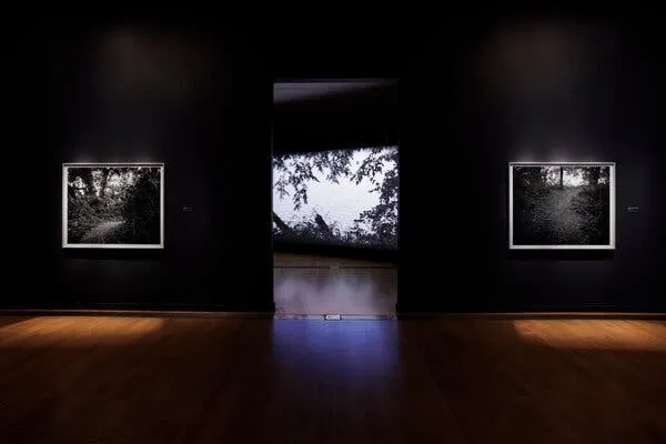 草莓视频 - 记忆守护者纪录片