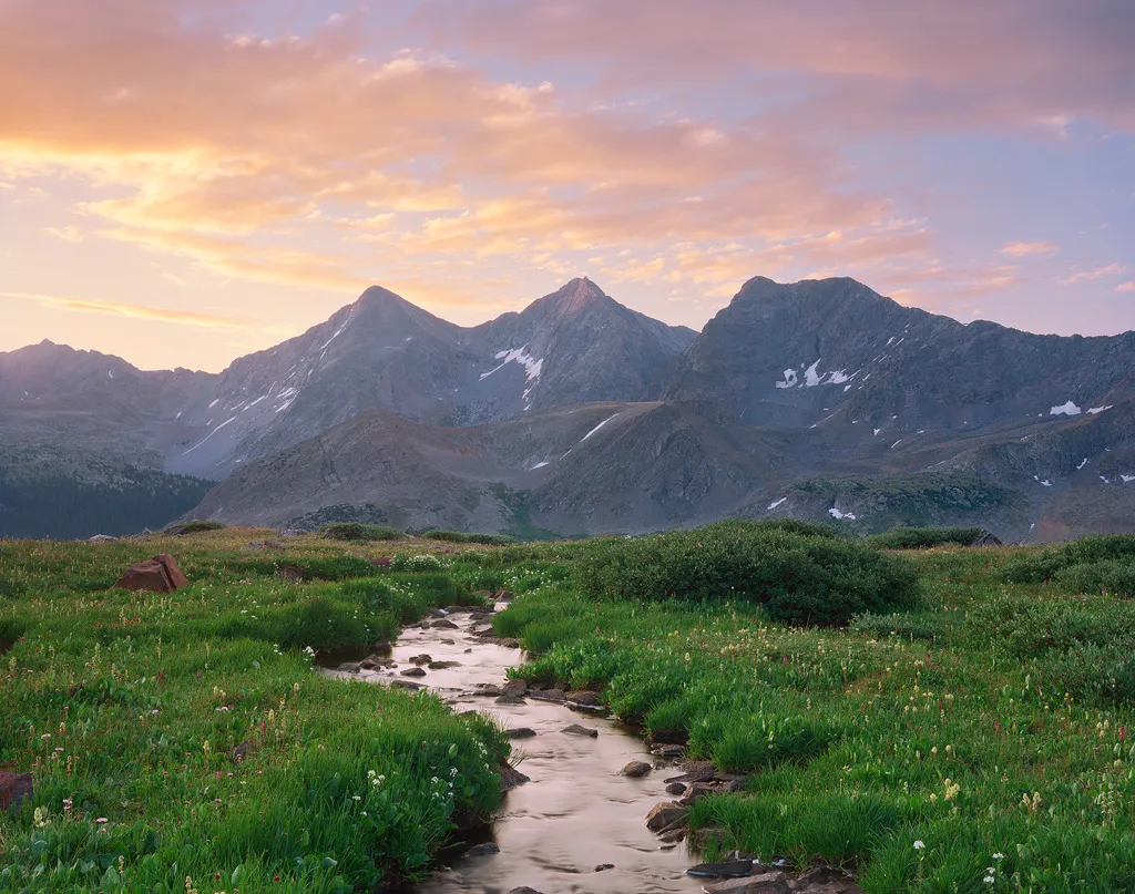 草莓视频 - 自然科学纪录片影像